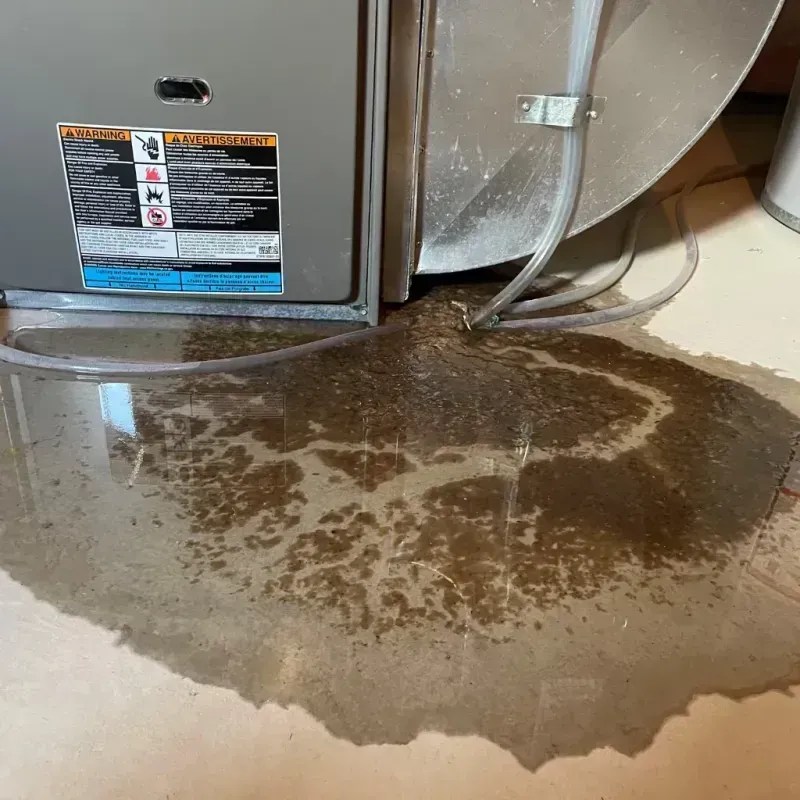 Appliance Leak Cleanup in Los Lunas, NM